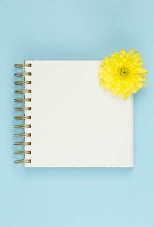 Top view of a open notebook, spiral notepad with blank sheet with Yellow chrysanthemum flowers . Flat lay, spring background At blank copy space, over light blue background. Vertical photo.の写真素材