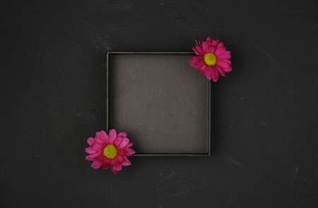 Black empty box packaging. Top view with purple chrysanthemum flowers. Flat lay, spring background At blank copy space.の写真素材