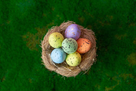Easter colored eggs in a decorative bird nest on the green grass. Spring nature concept with juicy...