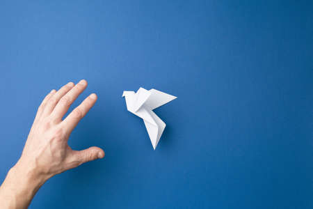 Origami pigeon on a blue isolated background. World Peace Day concept. Close up studio photo.の写真素材