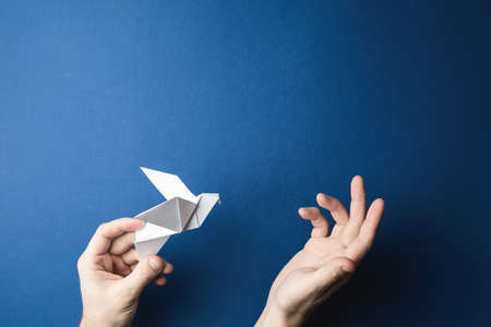 Origami pigeon in human hands on a blue isolated background. World Peace Day concept. Close up studio photo.の写真素材
