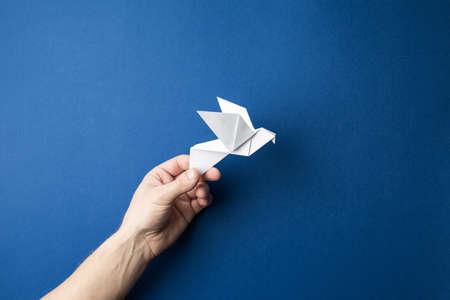 Origami pigeon  in human hands on a blue isolated background. World Peace Day concept. Close up studio photo.の写真素材