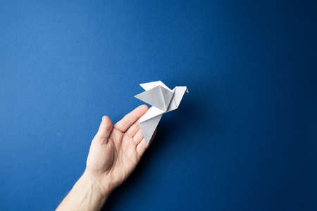 Origami pigeon  in human hands on a blue isolated background. World Peace Day concept. Close up studio photo.の写真素材