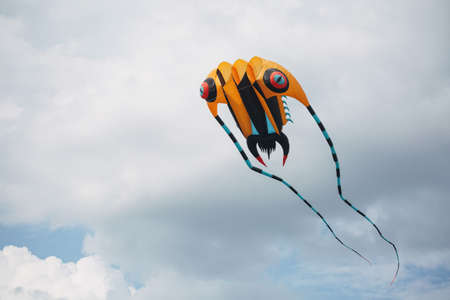 festival of kites, kites in the sky on a sunny day. Various kites flying on the blue skyの写真素材