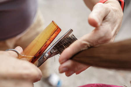 Young girl mean hair with a comb and scissors on a sunny day in the fresh air.の写真素材