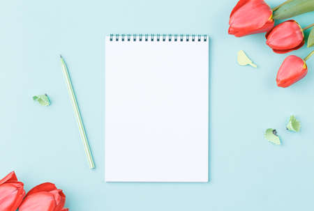 White sheet notepad with pencil.