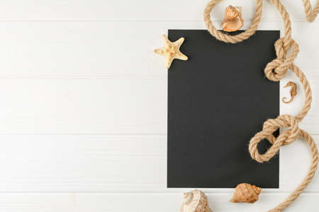 Board with mollusk seashells on the board.の写真素材