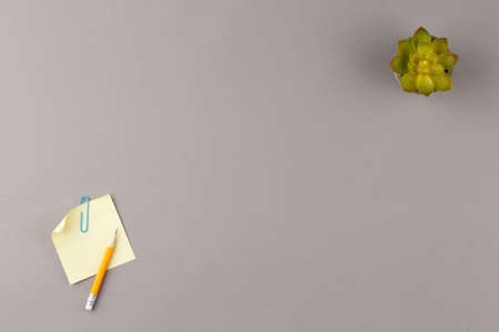 Pencil with a sticker annd plant.