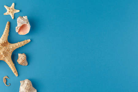 Souvenir shellfish. Banner on the marine theme.の写真素材