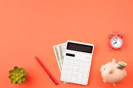 Pig piggy bank with dollars and calculator.の写真素材