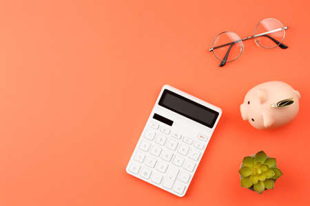 Pig piggy bank with money and calculatorの写真素材