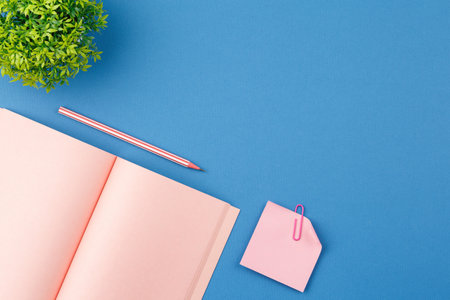 Open notepad with pencil, plant and note sheet.の写真素材