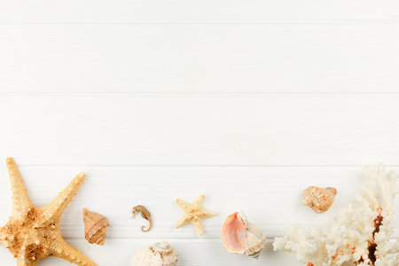 Sea coast banner. Seashells and starfish on white wooden background. Top view. Beach vacation concept. Seahorse and mollusc souvenir. Flat lay.の写真素材