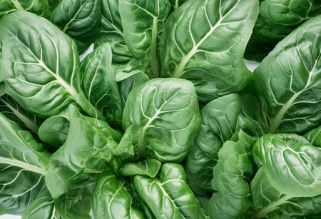 Fresh organic raw spinach leaves as a nutritious healthy green background flat lay., by ai generativeの素材