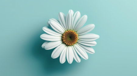 daisy flower closeup in the center on blue background, flat layer, top view, by ai generativeの素材