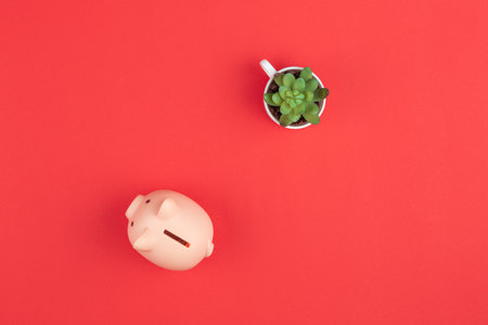 Piggy bank top view. Flat lay