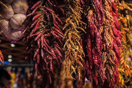Close up photo of different kinds of dried chili peppers braided and hanged at farmer market, selective focusの写真素材