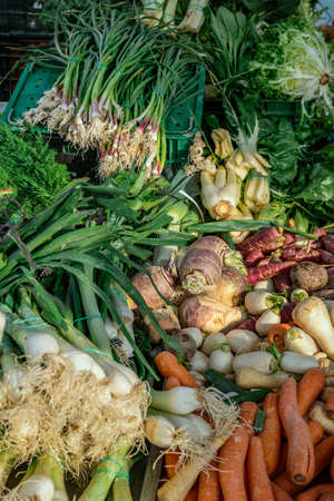 Group of fresh green vegetables on market stall with selective focus. Sunny morning at spanish weekly marketplace early spring.の写真素材