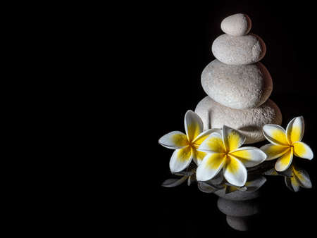 Zen stone pyramid with three white gentle frangapani plumeria flowers on the black reflective backgroundの写真素材