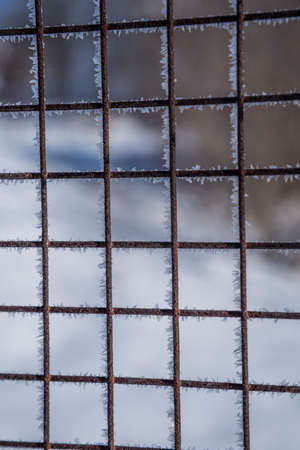 Close up view of Frozen metal fence frost covered in cloudy winter day. Soft focus.の写真素材
