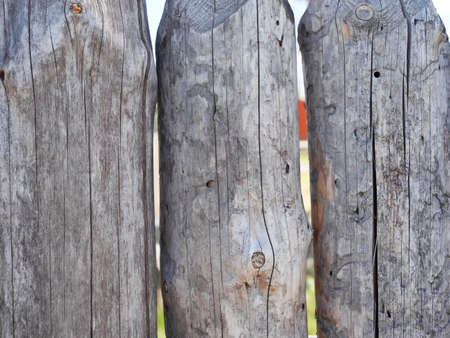 Wooden vintage background from an old palisade of logs. Sunny day.の写真素材