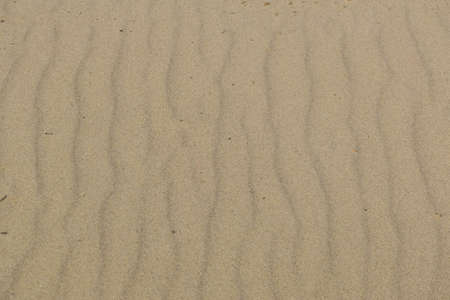 Vintage sand background on a summer day. Close up.の写真素材