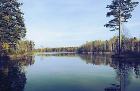 Forest lake in October. Clear autumn weather. On the shore, spruce and pine trees and bushes grow.の写真素材