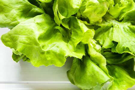 Fresh green lettuce salad closeup. Seasonal vegetables and summer diet concept.の写真素材