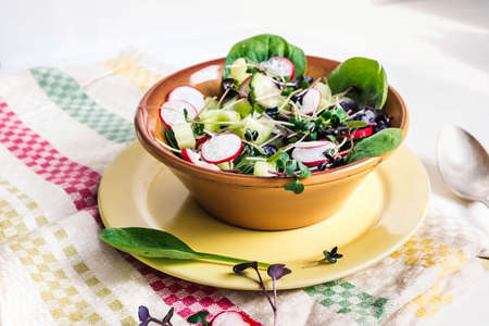 Spring vegeterian salad with radish, cucumber, spinach and microgreensの写真素材