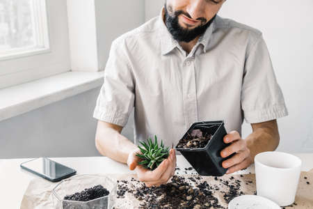 Concept of spring home garden. Home gardener transplanting plant in ceramic pots on the white wooden table. Spring time. Taking care of home plants. New mans hobbyの写真素材