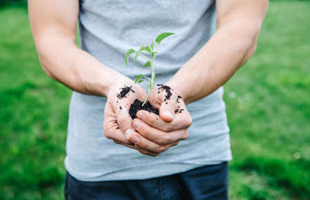 Close up man holding young plant in hands against spring green background. Safe the Earth conceptの写真素材