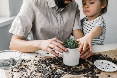 Close up little boy with his father transplanting houseplant succulent to new white flowerpot. Home gardening and eco family hobby conceptの写真素材