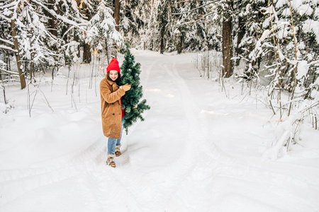 Female christmas celebration concept. Young attractive woman in trendy teddy fur and red hat carries a Christmas tree in the winter forestの写真素材