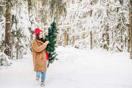 Winter activity lifestyle getting ready for Christmas. An attractive young woman carries a Christmas tree and walks forward in snowy winter forest.の写真素材