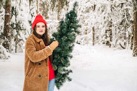 Christmas lifestyle. Stylish young woman in redd hat carries a Christmas tree in the winter forest. Looking at camera, copy space for textの写真素材
