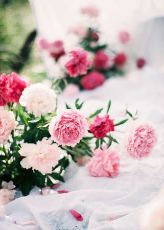 Summer wedding decor concept. Pink peonies flower bloom on white.の写真素材
