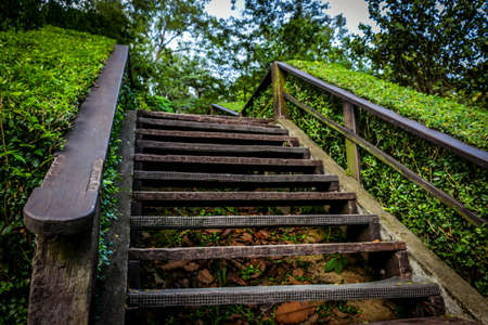 A wooden stairs found in a park