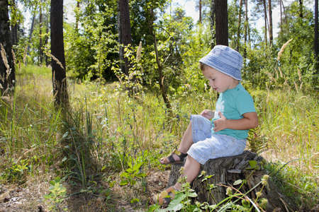 Cute three years boy in the forest on logsの写真素材