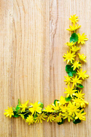 Background with yellow flowers over wooden table, copy spaceの写真素材