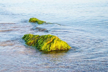 Stone in the seaの写真素材