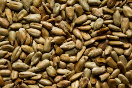 a lot of sunflower seeds. food background.