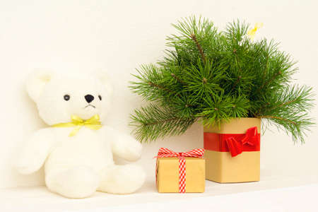 Concept of interior decor. White bear toy for baby, gift box, fir tree in vaseの写真素材