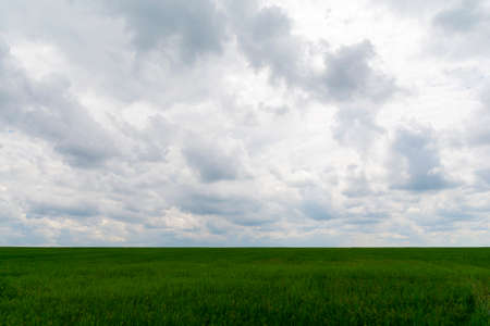 field on a background of cloudy skyの写真素材