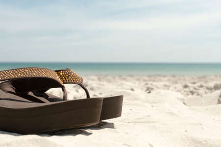 Summer Background With Copy Space
