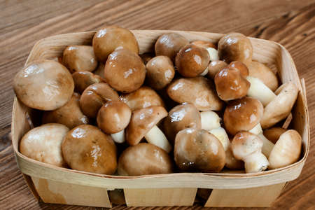Mushroom Suillus in wooden box. Autumn Cep Mushrooms over Wooden Dark Background, close up on wood rustic table.の写真素材