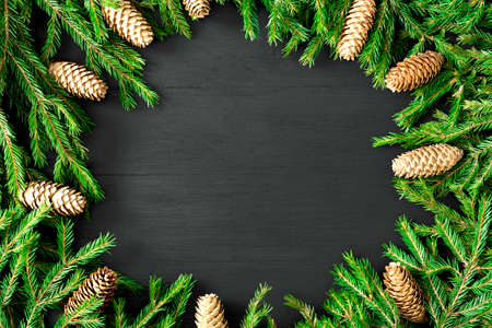 Christmas round frame of winter tree branches with cones on white background. Festive winter...