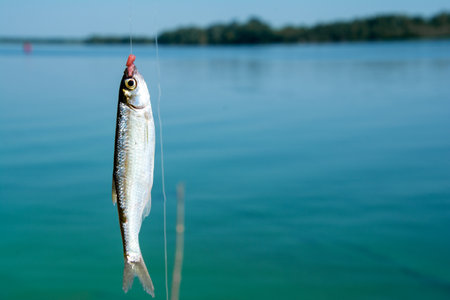 Anonymous fisherman man with fishing rod with a fish near the riverの写真素材