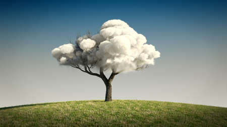 Tree with upper branches of cloud 3d illustrationの写真素材