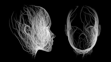 The shape of the head of the yarns 3d illustrationの写真素材