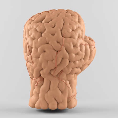 Glove brain on gray backgroundの写真素材